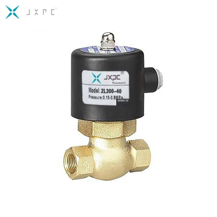 Two Way Steam Valve
